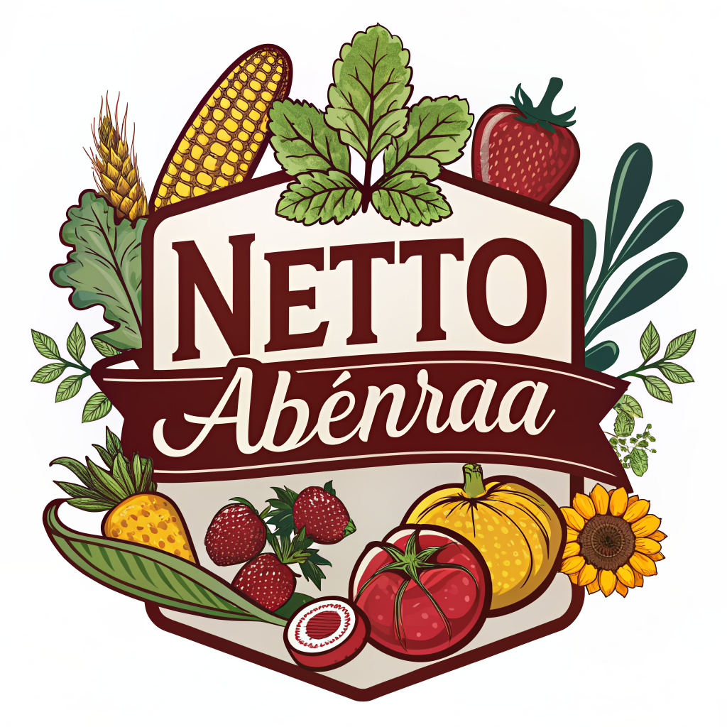 Netto Aabenraa logo